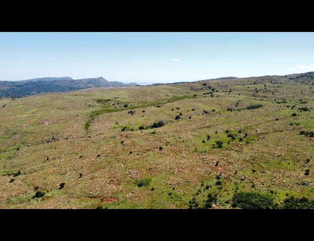 256HA FARM FOR SALE IN ROOSSENEKAL AH